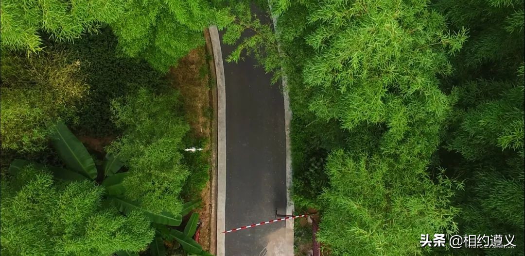 赤水大瀑布 侏罗纪公园 (贵州赤水侏罗纪公园攻略)