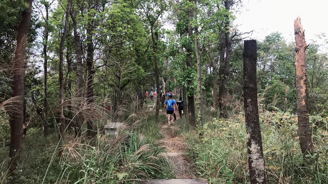 如果你觉得生活太过于平淡,如果你觉得生活太平淡就去改车吧