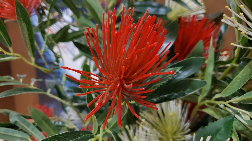 三星galaxynote20ultra5g测评,三星galaxys20+5g参数