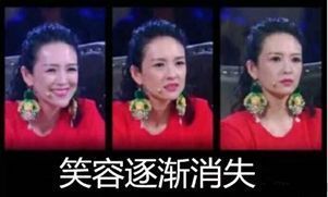 世界超模维密走秀图集,维密超模刘雯图集