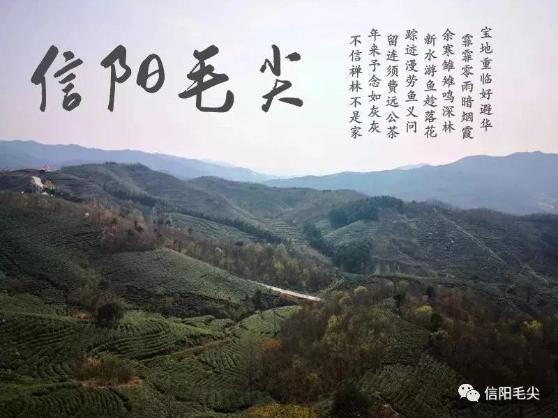 真的会有人愿意听我诉说吗,有哪些真心话是想对你男朋友说的