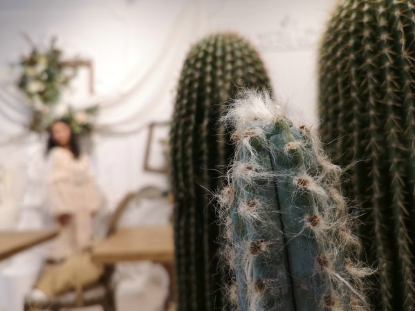 南宁比较有颜值的店,南宁特别好喝现磨咖啡店