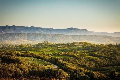 法国葡萄酒产区位于北纬多少度,法国葡萄酒产区burgundy