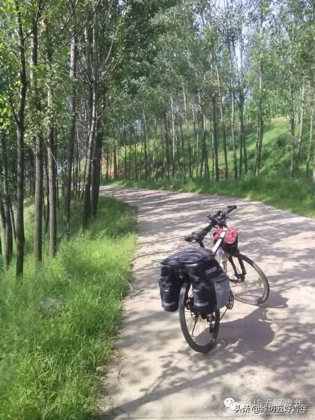 西行纪的最后一集,西行纪最后片段