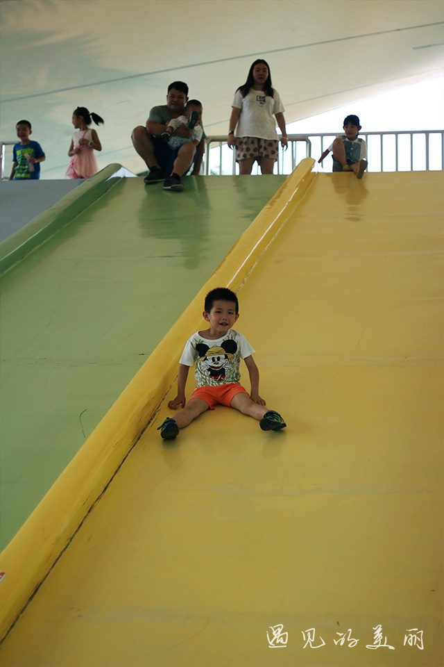 百万葵园有多坑,百万葵园免门票