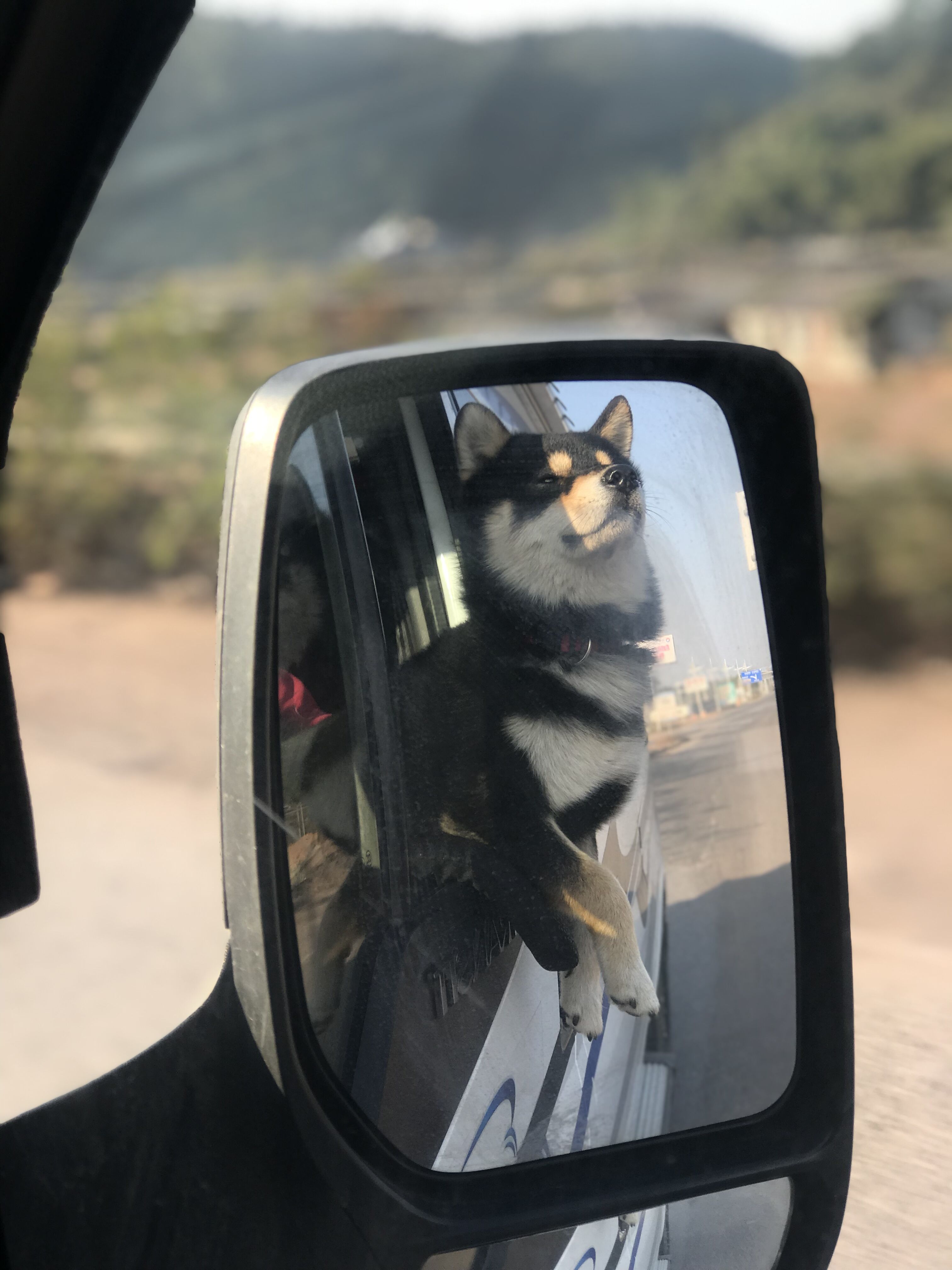 又见东兴,故地重游口岸都关闭了,不同时间不同伙伴不同心情