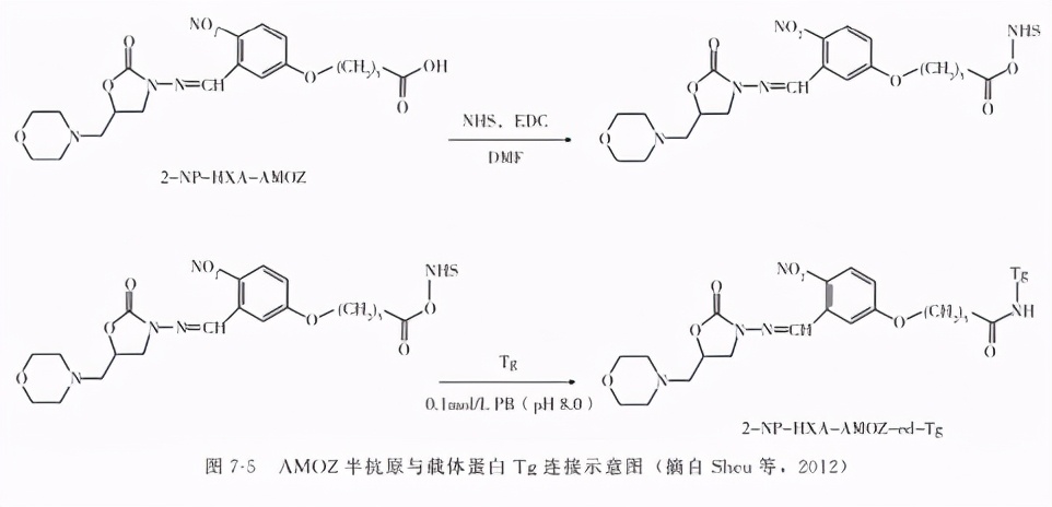 动物源性农残检测,动物原性食品检测去找谁