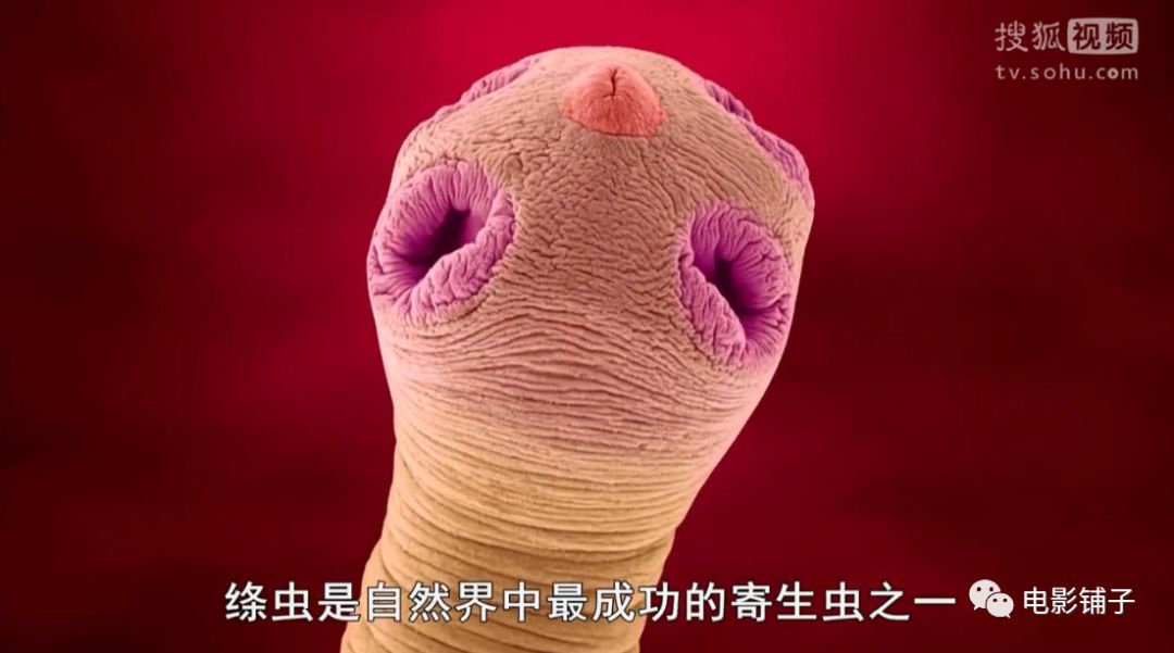 主持人用生命拍片系列，大写的牛掰