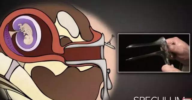 丁嘉丽明星的故事,丁嘉丽央视