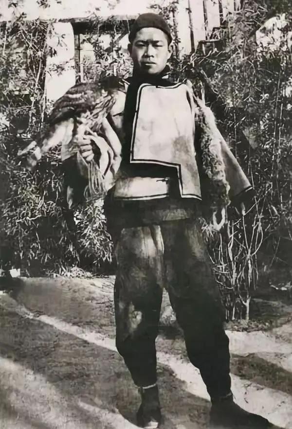 一“顽”到老王世襄：架鹰盘鸽斗蛐蛐，越老玩得越高级