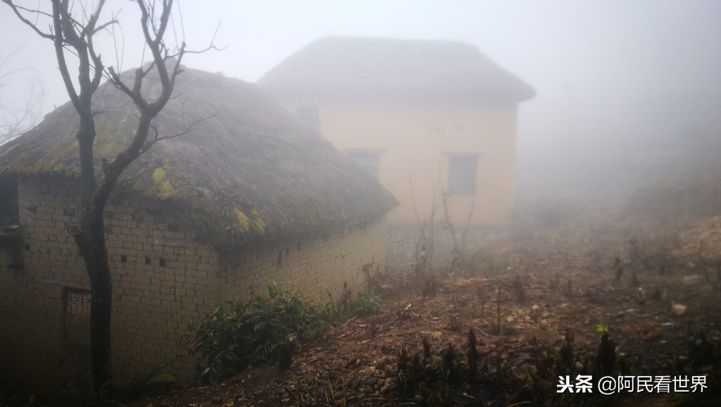 云南普者黑元阳坝美6天旅游攻略,云南建水普者黑旅游路线