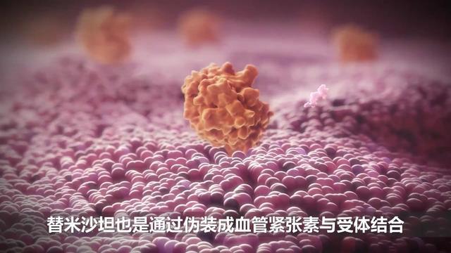 降压药替米沙坦的副作用有哪些,降压药替米沙坦功效和作用