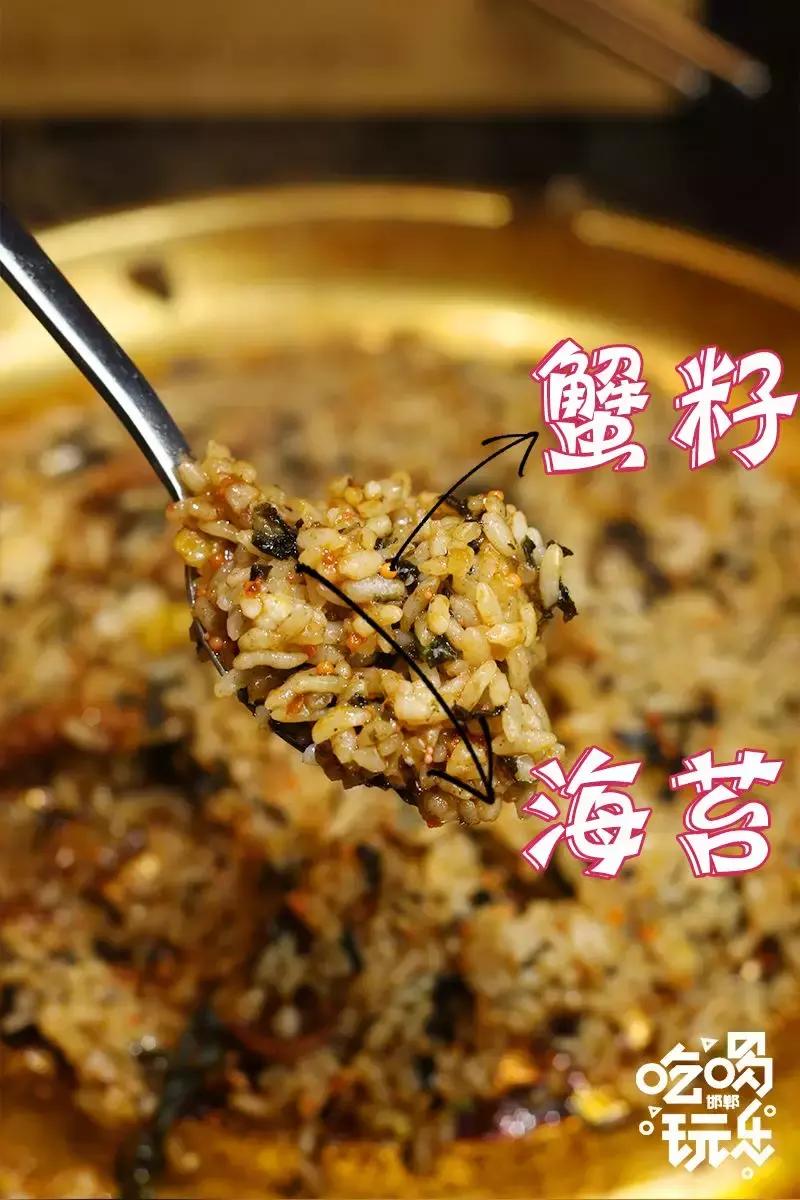 小猪小牛吃火锅,小猪小牛最新视频