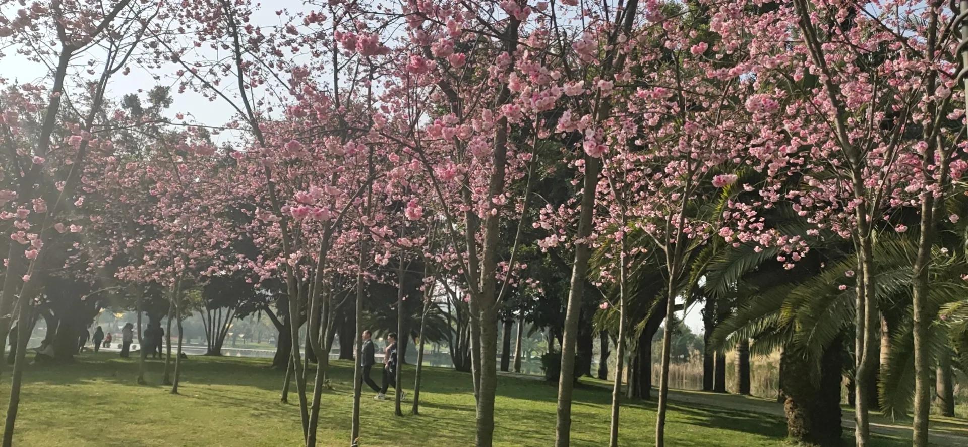 弥勒居住养老优缺点,弥勒市天气适宜养老吗