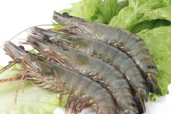 男子被虾夺命进icu,一只虾夺命男子进icu去世3天