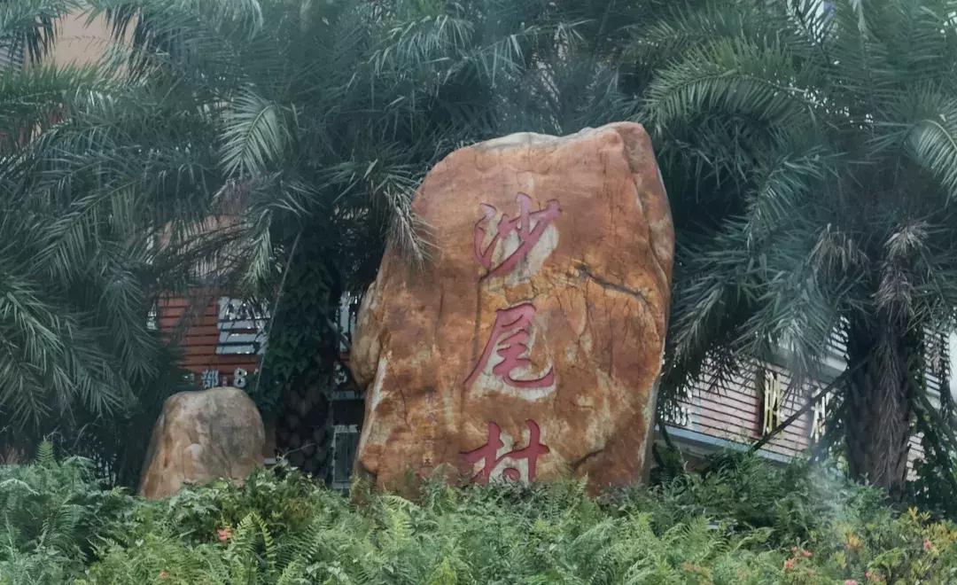 福田大地的变化,福田中心区变化