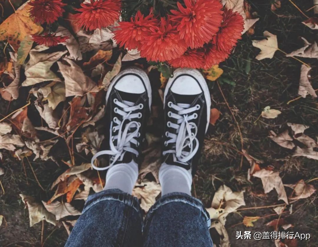 2023年最好看的帆布鞋,最经典的两款帆布鞋