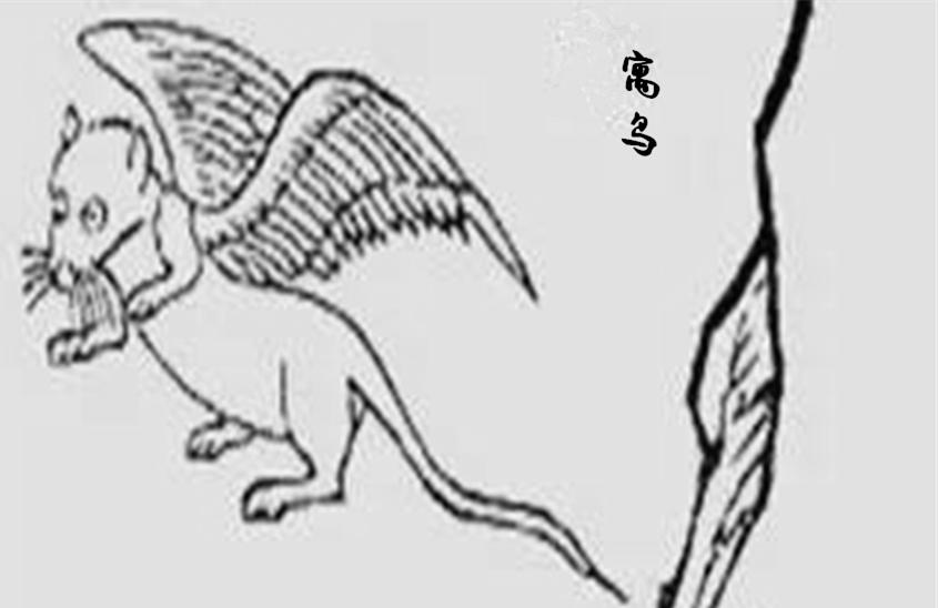 千古第一奇书山海经你知道多少,上古三大奇书之首山海经