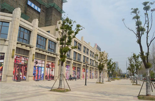 商铺卖不掉租不出最后结局,租不出去卖不掉的商铺