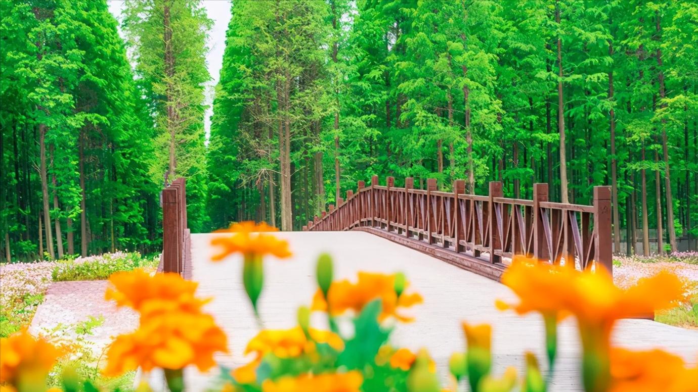 江苏省盐城市有哪些县和区,浅谈全国各省份