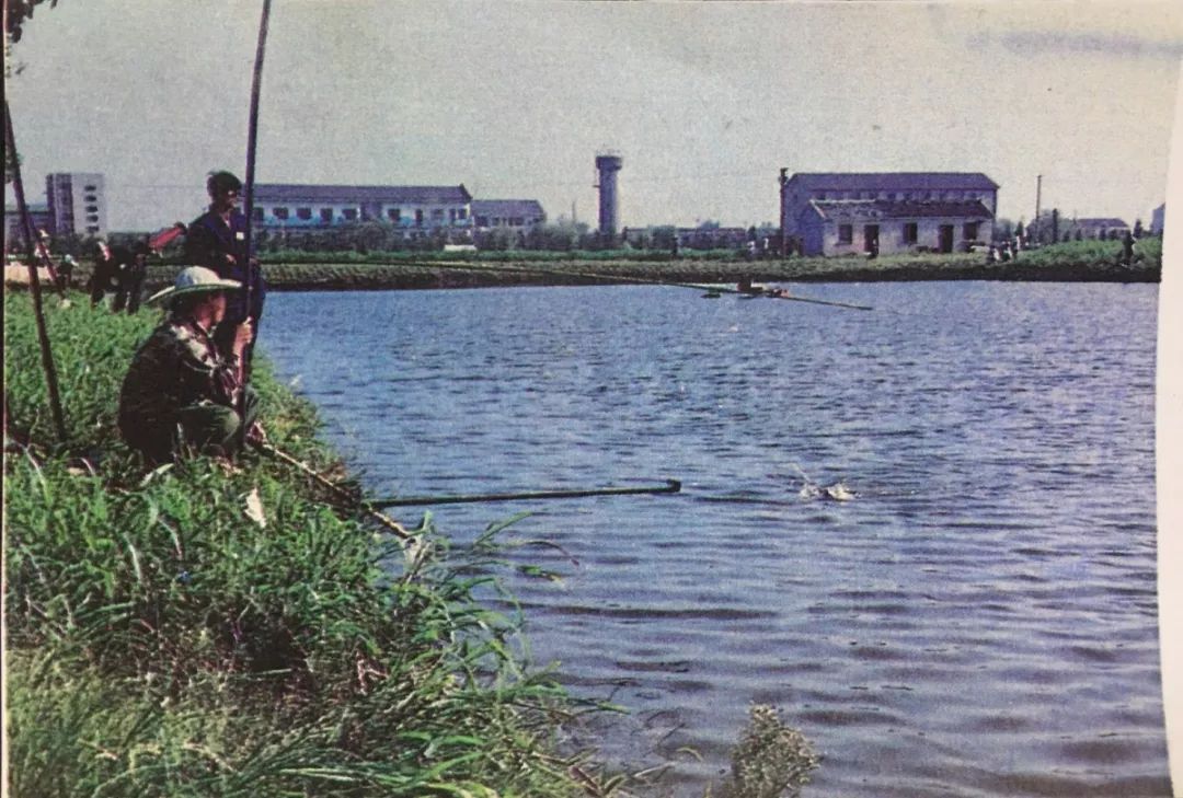 常州西太湖变迁,常州西太湖和滆湖公园有什么区别