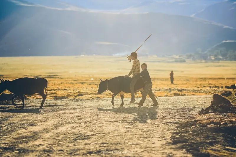舌尖上的西藏美景,舌尖上的四川稻城印象老砂锅