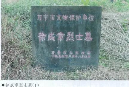 海南琼崖纵队创始人,徐成章琼崖籍烈士名单