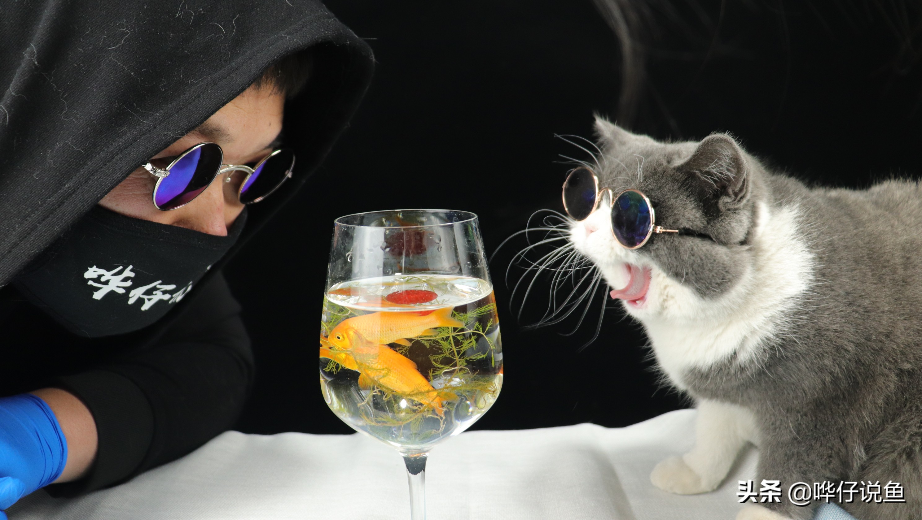 养鱼不死鱼的三个绝招技巧,养鱼不死鱼的三个绝招新手