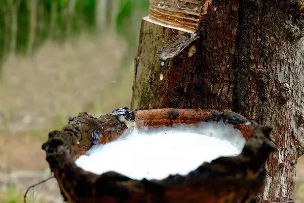 刚买回来的乳胶枕头有味道,乳胶枕头有味道怎么去除妙招