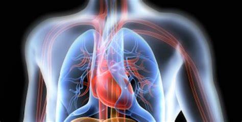 穿跑鞋跑步真的可以提升速度吗,如何快速提升800米跑步速度和耐力