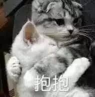 这位太太请你出去表情包,太太微信表情包