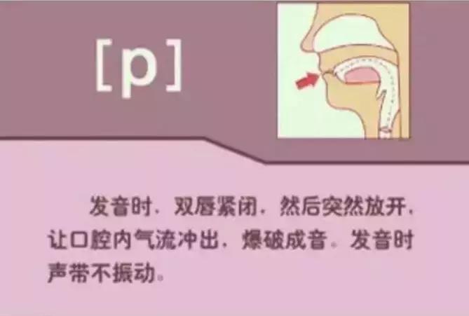 音标发音48个正确发音口型,小学英语音标发音48个口型