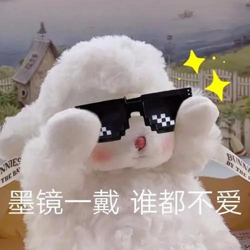 小狗用英语怎么说啊,小狗用江苏话怎么说