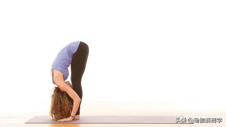 排寒排湿排毒瑜伽,三伏天祛湿瑜伽