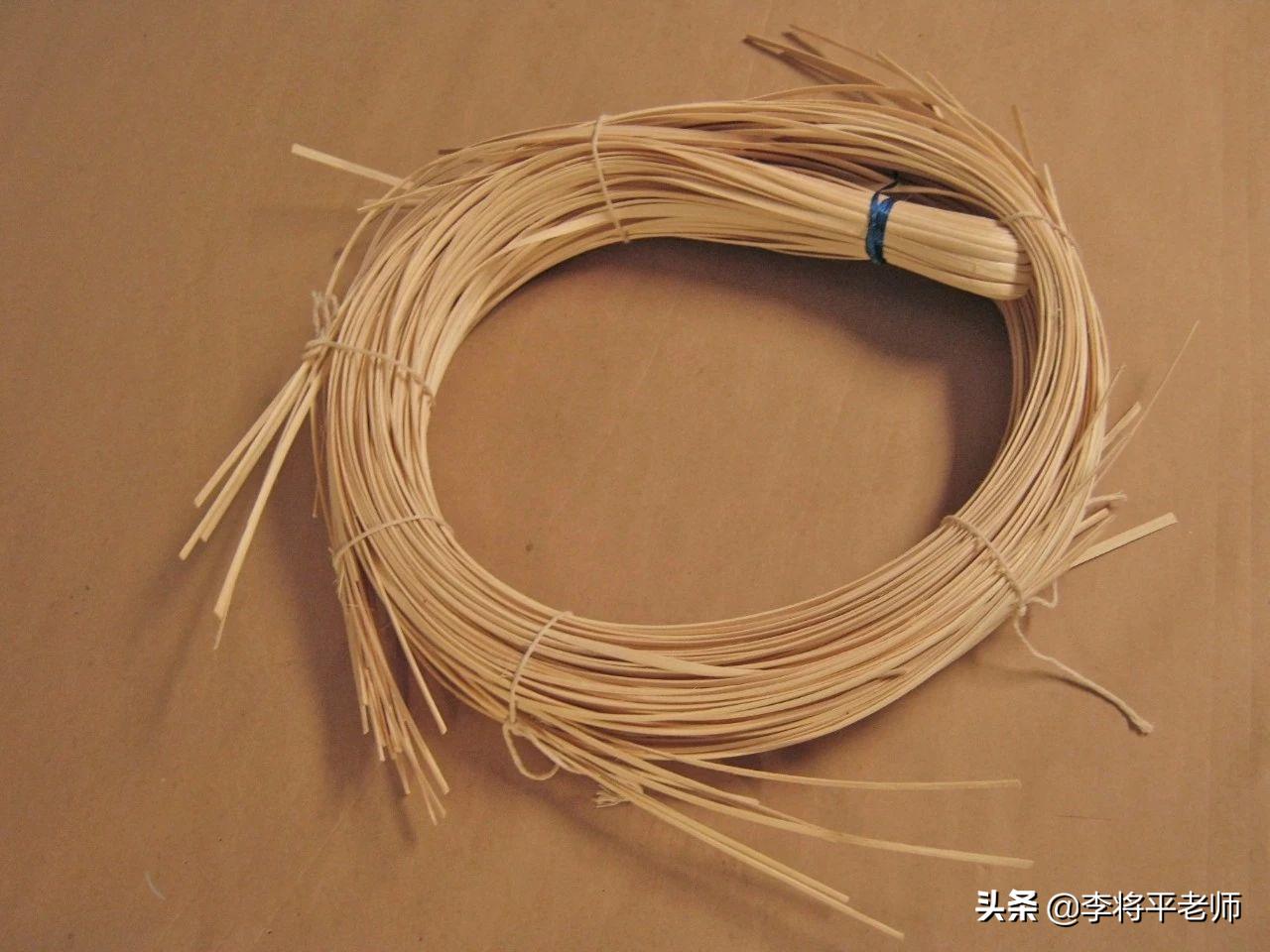 300万头鲸鱼的悲歌，欧美和日本的黑暗捕鲸史，它们驮着欧美文明