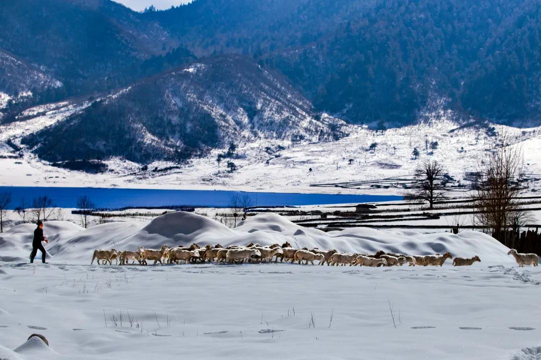 冕宁冶勒湖旅游攻略,冕宁县冶勒湖攻略