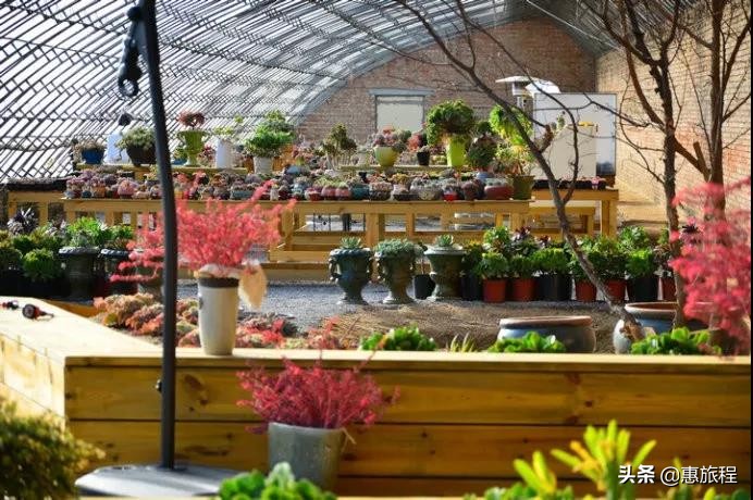 蓝调庄园温泉298元,蓝调温泉庄园北京