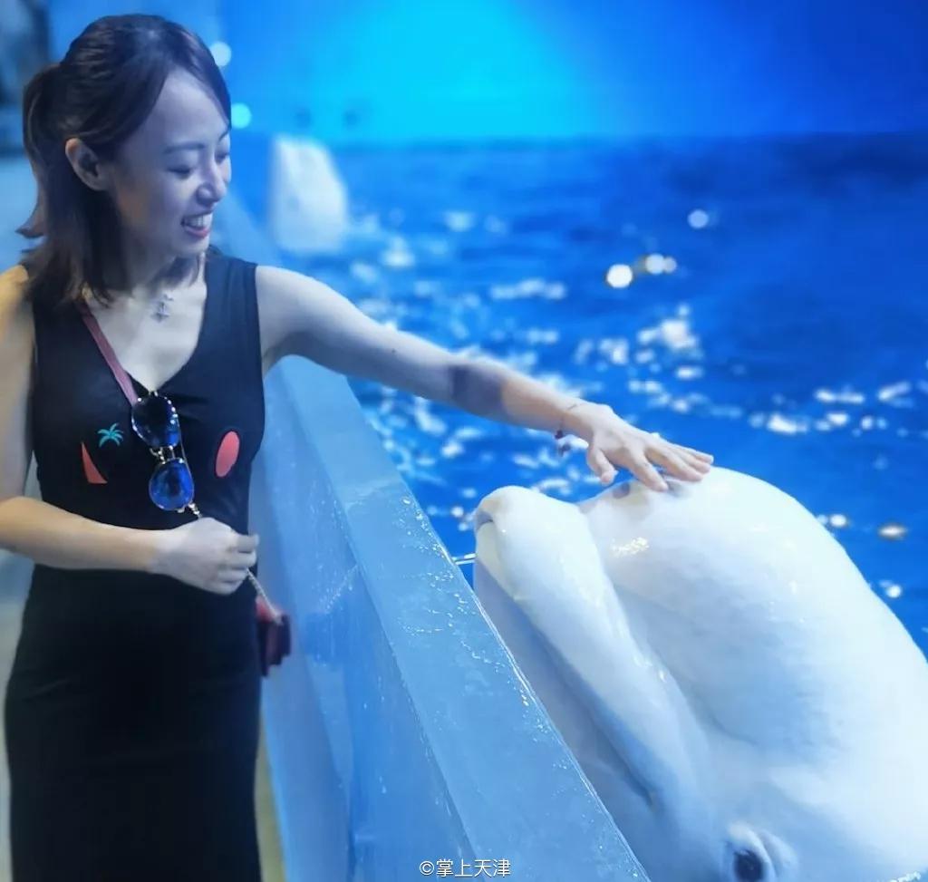 天津海昌极地海洋世界年票,天津海昌极地海洋99票价真实性