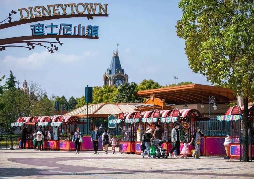 上海最大薰衣草公园,上海薰衣草公园迪士尼