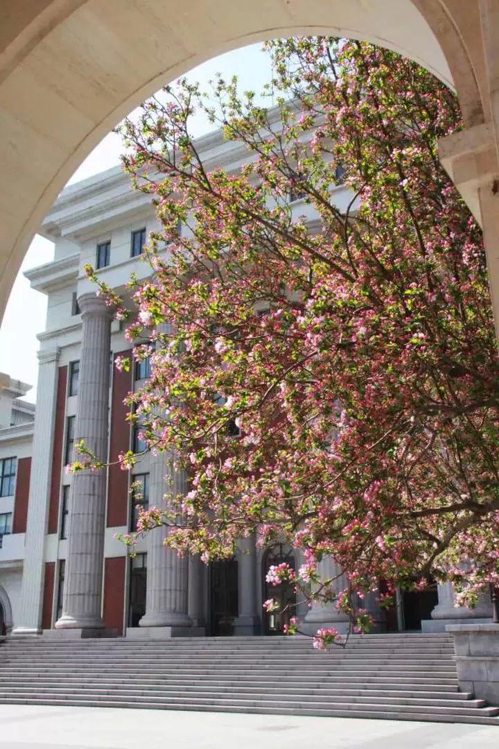 天津红桥高级中学,天津高级中学