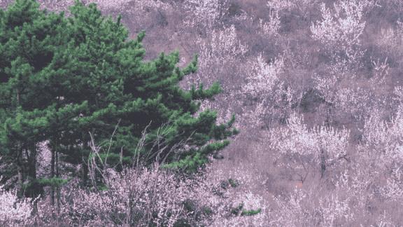 疫情结束房子会降价吗,疫情结束后又发生了什么事