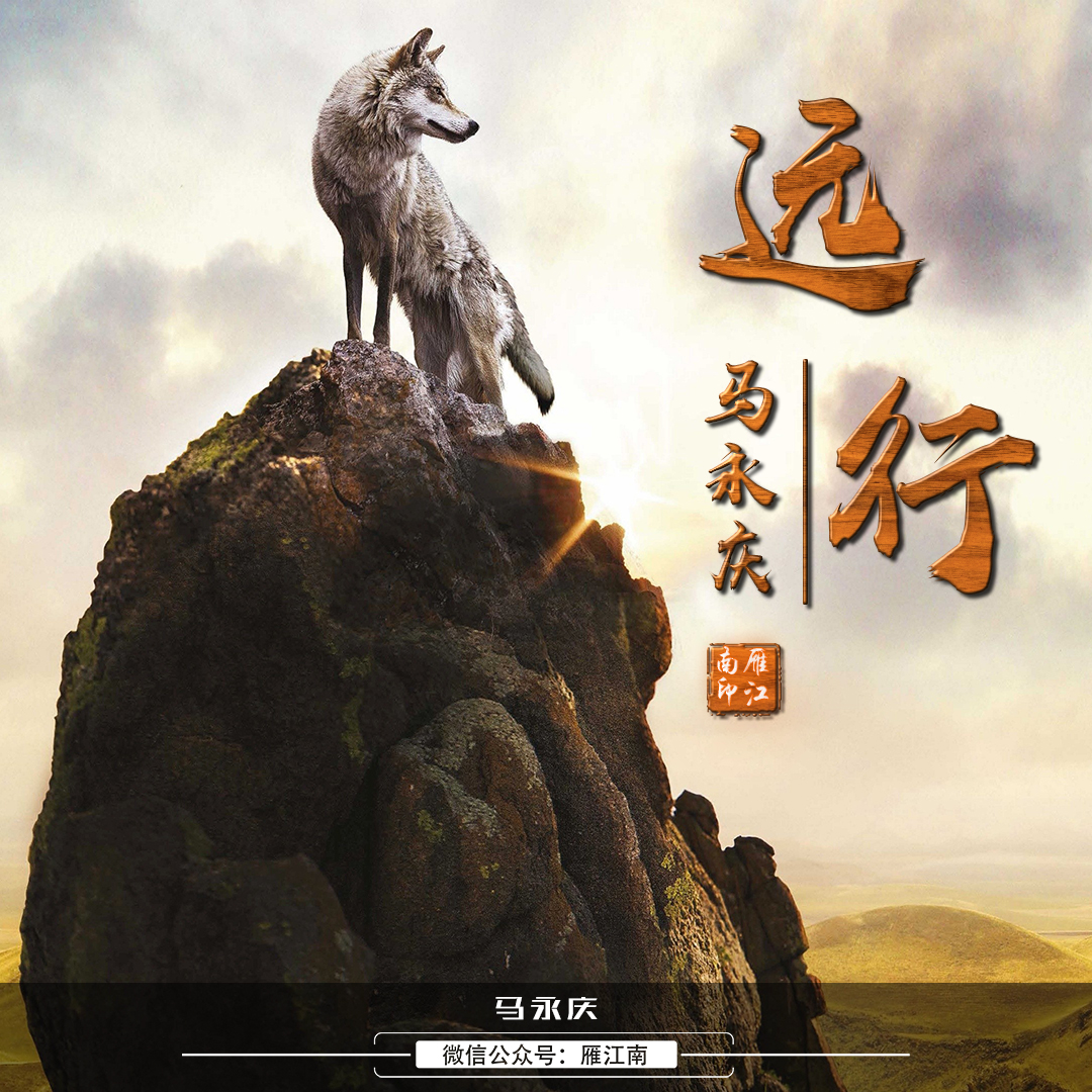 狼回头微信头像100张霸气,微信狼图腾头像