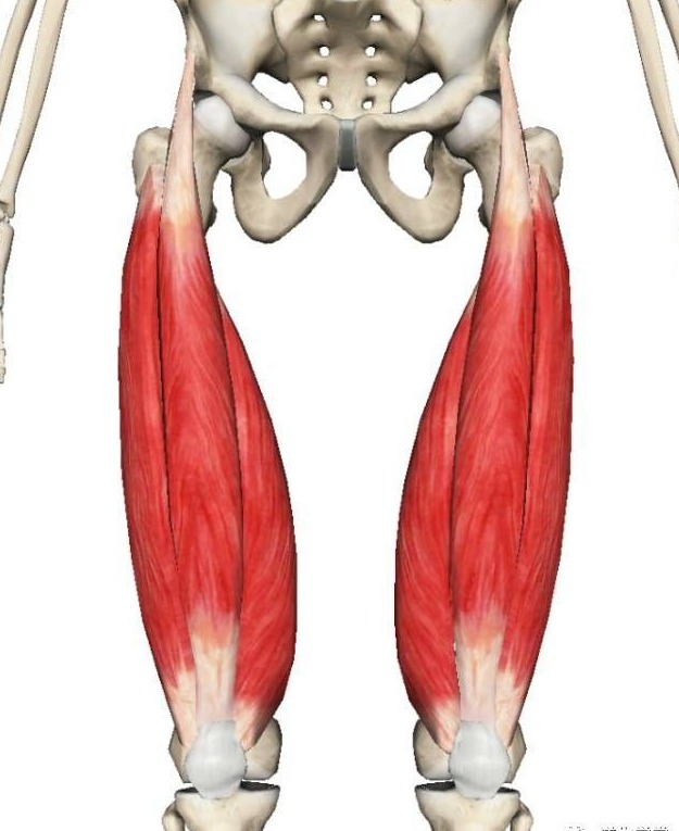 膝关节咔咔响隐隐作痛,下蹲时膝关节有小咔咔声