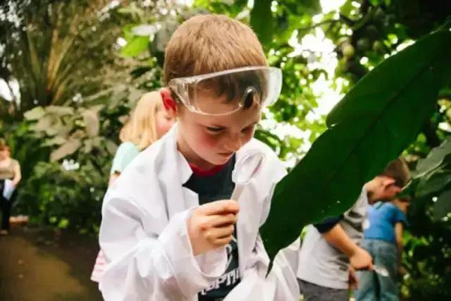 世界第八大奇迹：废矿变身伊甸园，年游客超两百万