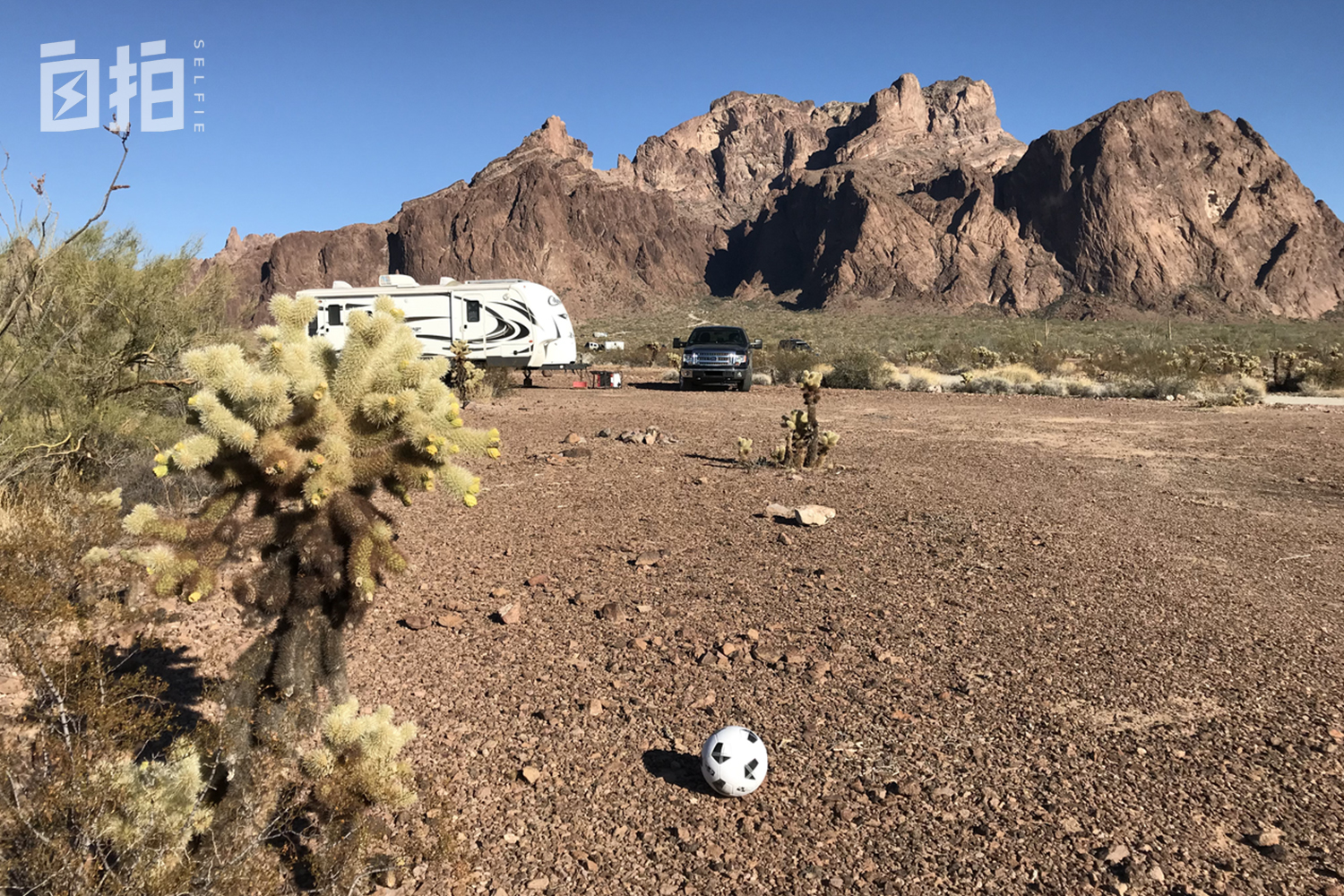 东北女大学生留学加拿大开挖掘机,在加拿大开挖掘机