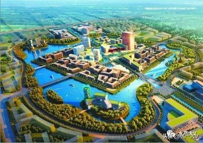 四新s040值得买吗,我为什么要买一双鞋