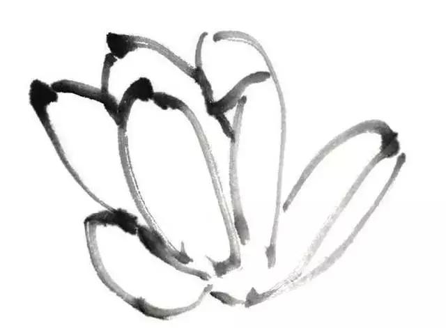 白描荷花的画法图片,如何画荷花白描大片