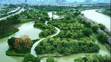 海珠湿地一期,海珠湿地公园走完要多久