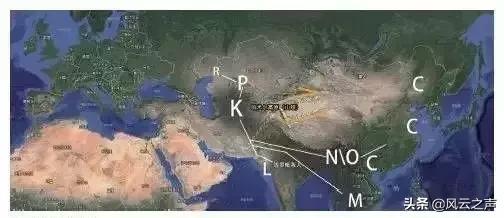 中国人从哪里来的,中国人从哪里来完整版