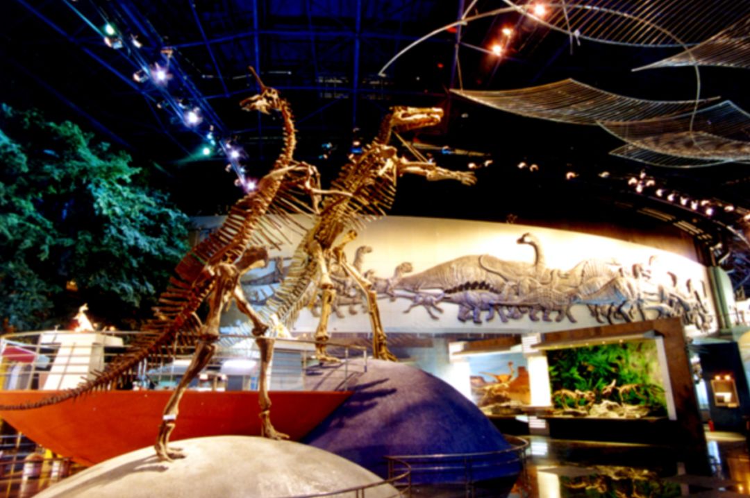 推荐最好玩的乐园,有没有值得玩的地方推荐一下